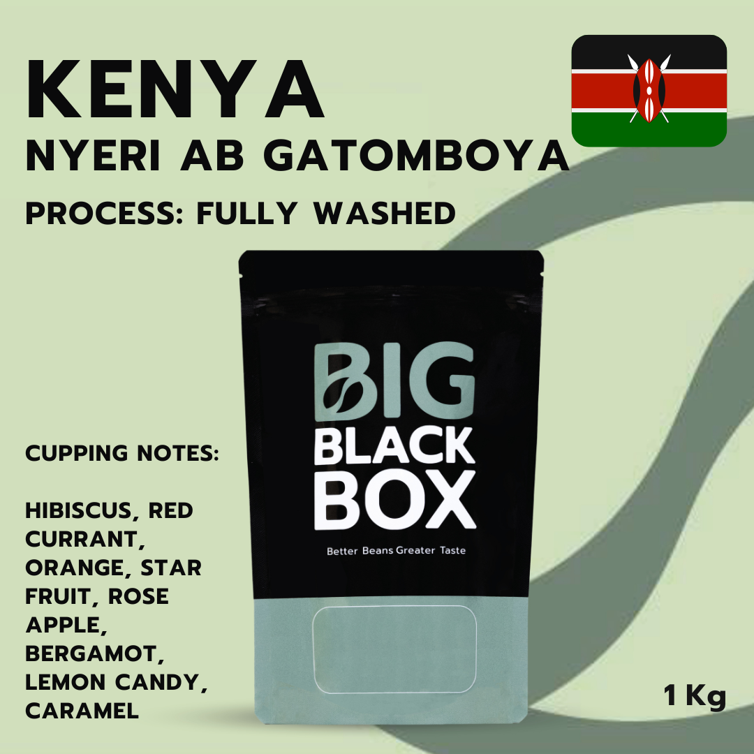 (1G-AF-KE-S-001) สารกาแฟ Kenya Nyeri AB Gatomboya Fully Washed  1kg