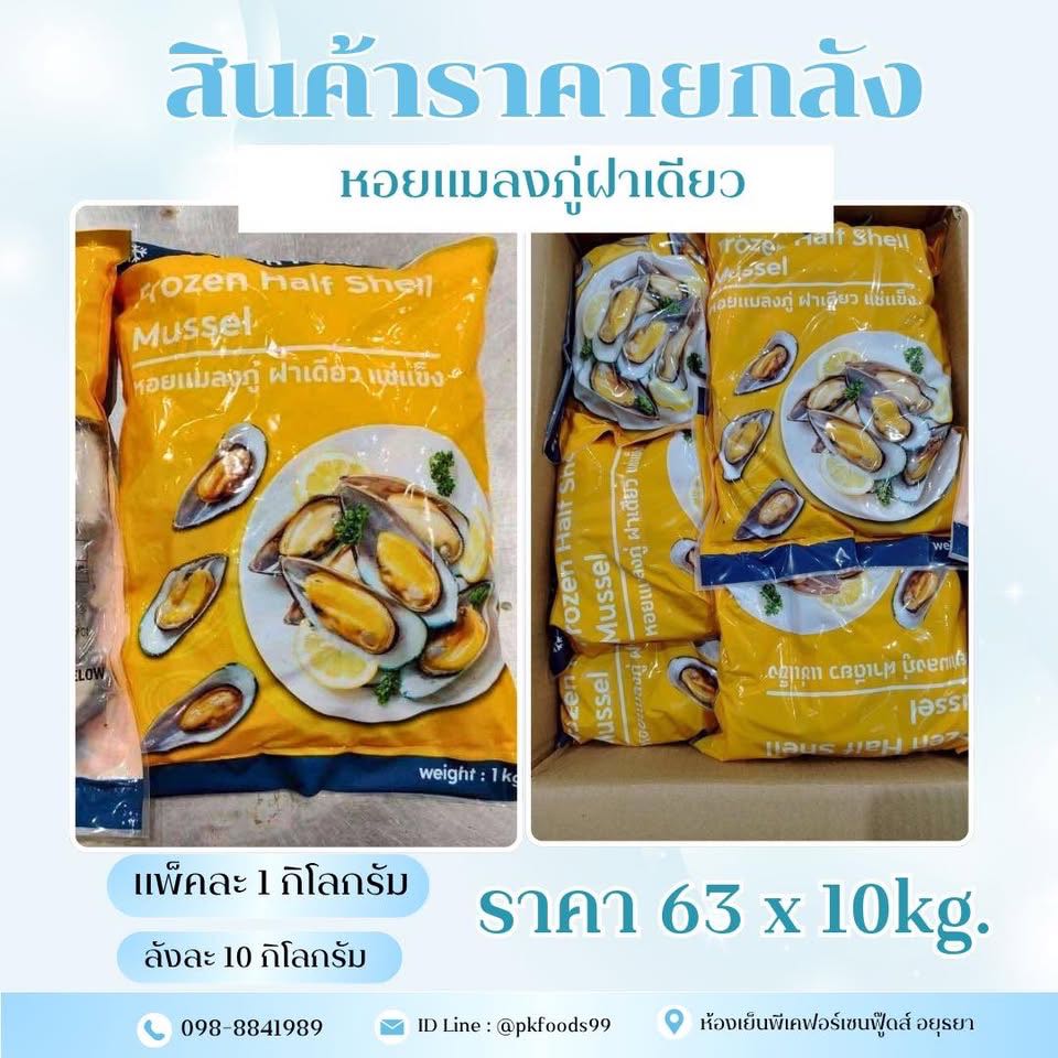 (ยกลัง) หอยแมลงภู่ฝาเดียว ชิลี 1kg. ลัง 10แพ็ค
