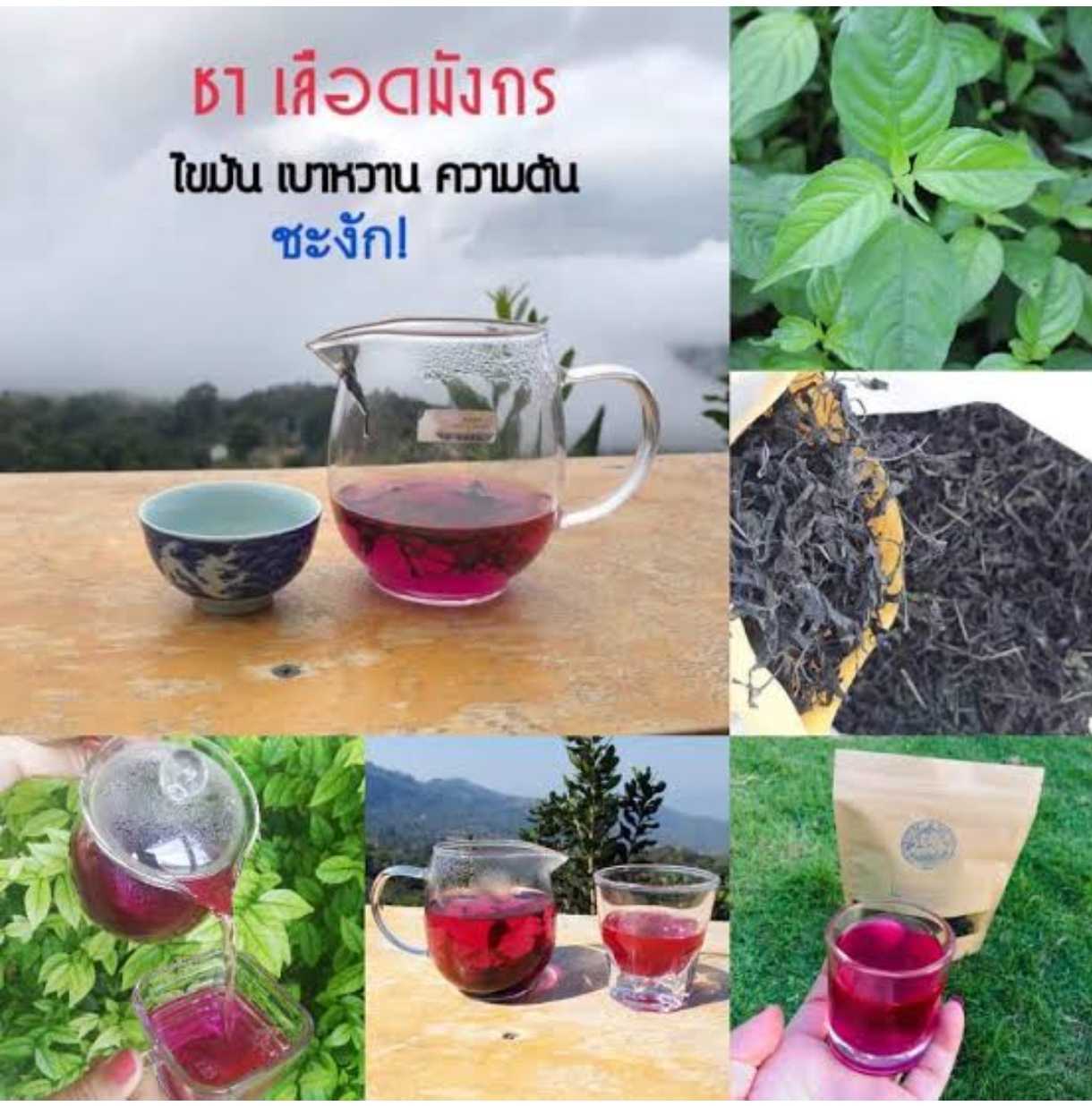 [14.1] ชาเลือดมังกร เกรดพรีเมี่ยม แบบชง 50 กรัม #พลัง
