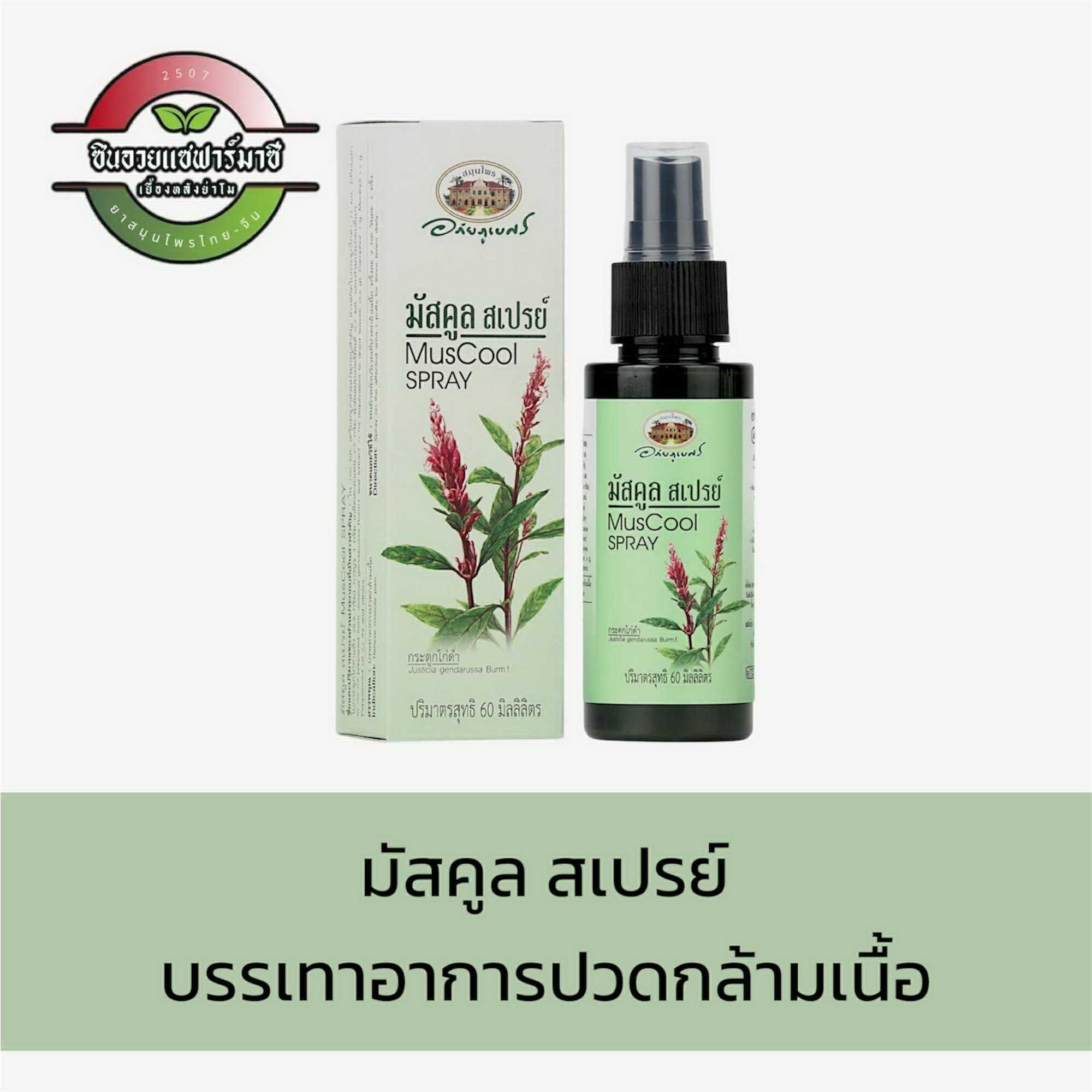 มัสคูล สเปรย์ - อภัยภูเบศร (60ml) สเปรย์แก้ปวด