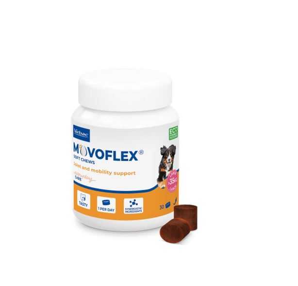 Virbac: Movoflex อาหารเสริมเทคโนโลยีใหม่ ช่วยบำรุงข้อต่อ เม็ดเคี้ยว อร่อย สำหรับสุนัขทุกช่วงวัย