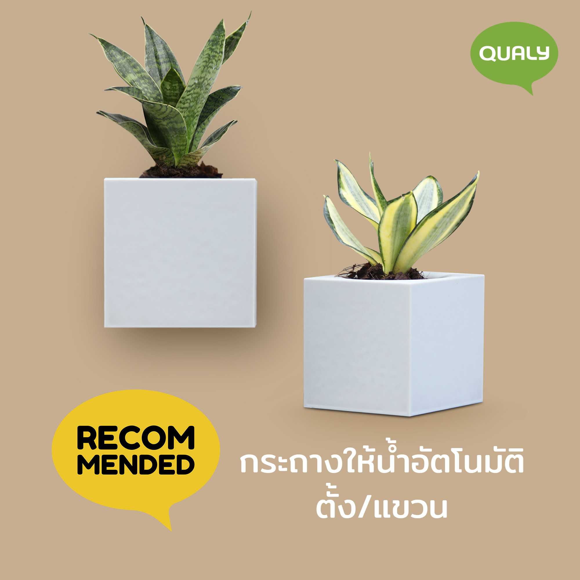 Pixel Pot Self watering Plant pot  กระถางต้นไม้ให้น้ำอัตโนมัติ ดีไซน์ ทรงสี่เหลี่ยม  Qualy(ควอลี่)