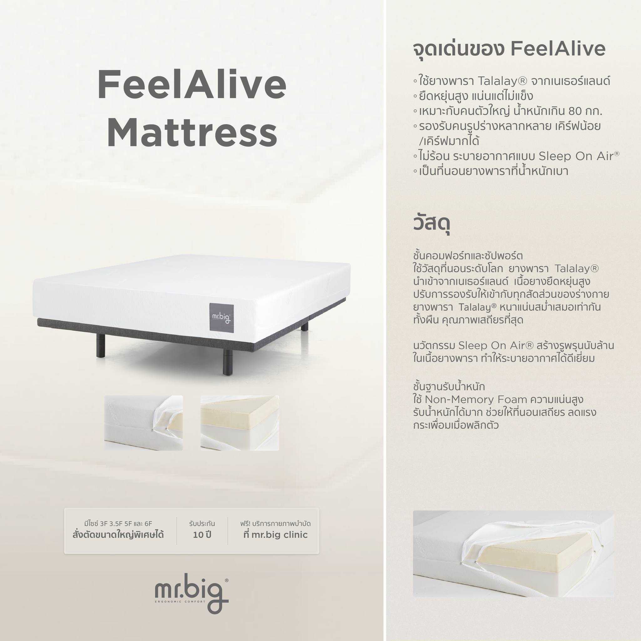 mr.big FeelAlive Mattress  3.5 F