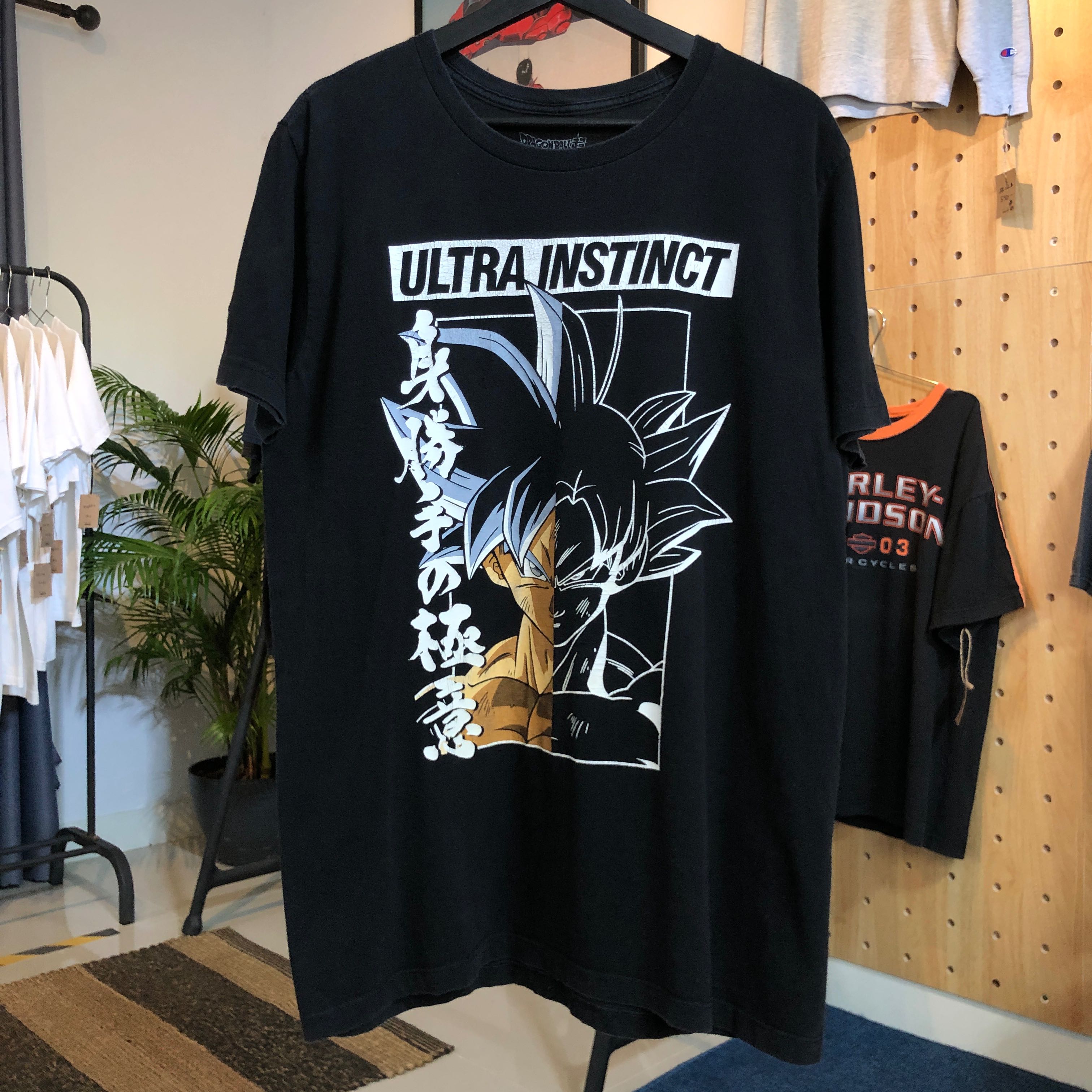 Dragonball  size L (21.5/30)