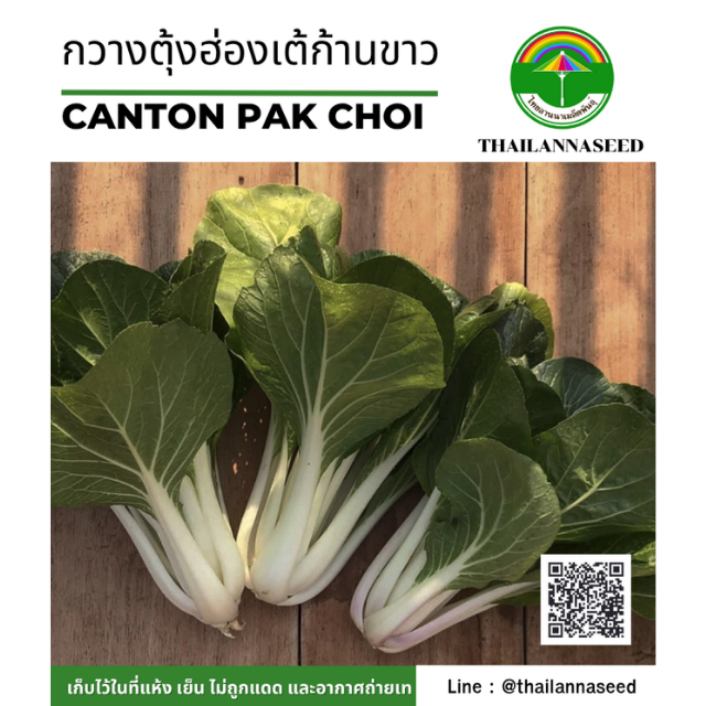 กวางตุ้งฮ่องเต้ก้านขาว ( ขนาด 0.5 กรัม ) รหัสสินค้า 4014