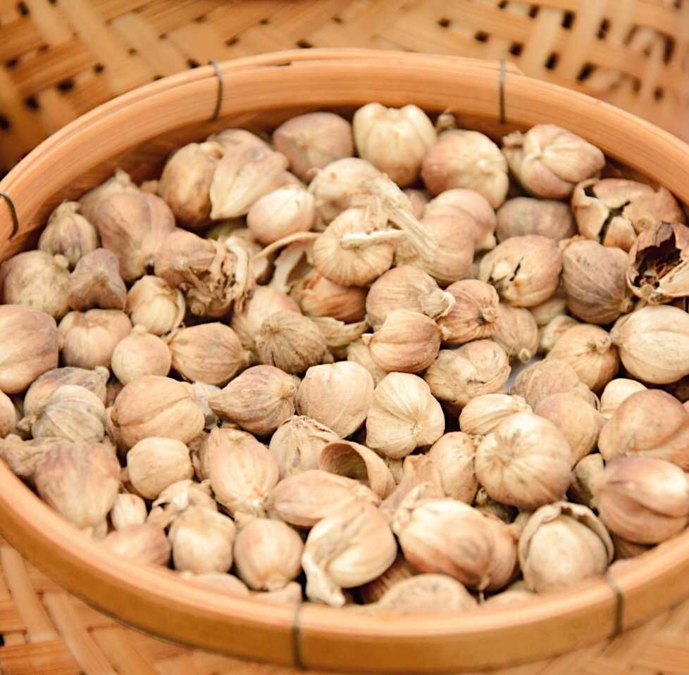 ลูกกระวานขาว (White Cardamom)