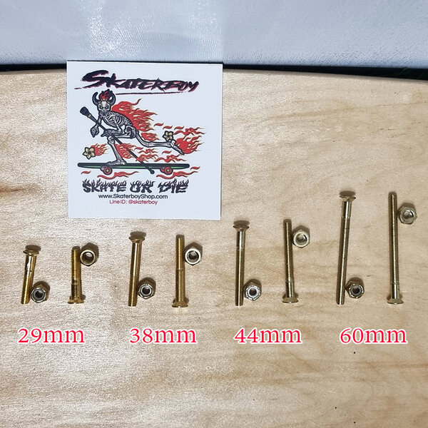 [0309] น็อตทอง ยึดทรัคสเก็ตบอร์ด ยาว 29, 38, 44, 60mm มีบ่า ถนอมไม้ หัวหกเหลี่ยม ตัวผู้พร้อมตัวเม...