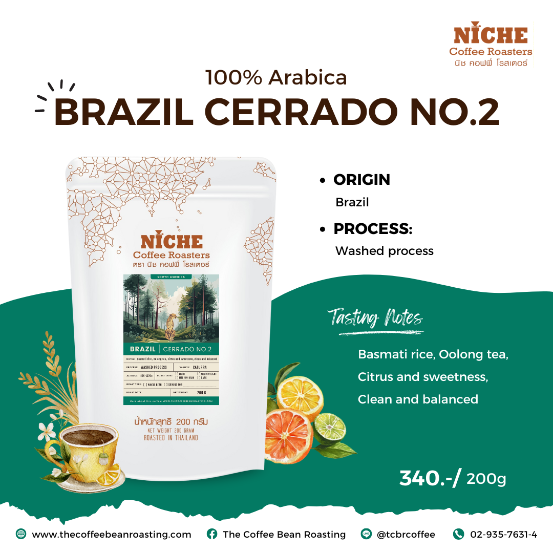 กาแฟ Brazil Cerrado No.2