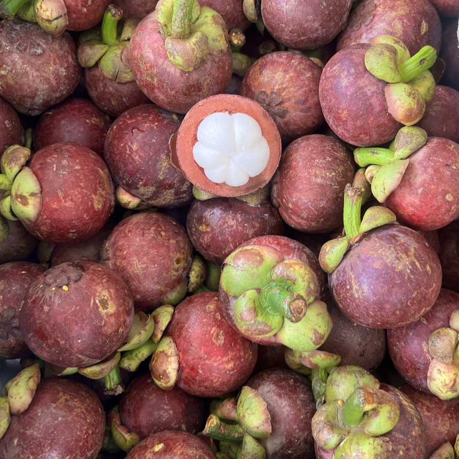 ล็อตใหม่ รอสุก 1-2 วัน มังคุด 3 กก. (Mangosteen 3 kg.) จากจังหวัดชุมพร ลูกเล็ก