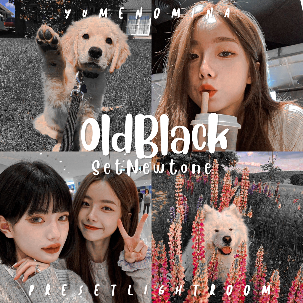 OLDBLACK — ꒰Set NewToneสั่งซื้อแยก꒱ PRESET LIGHTROOM