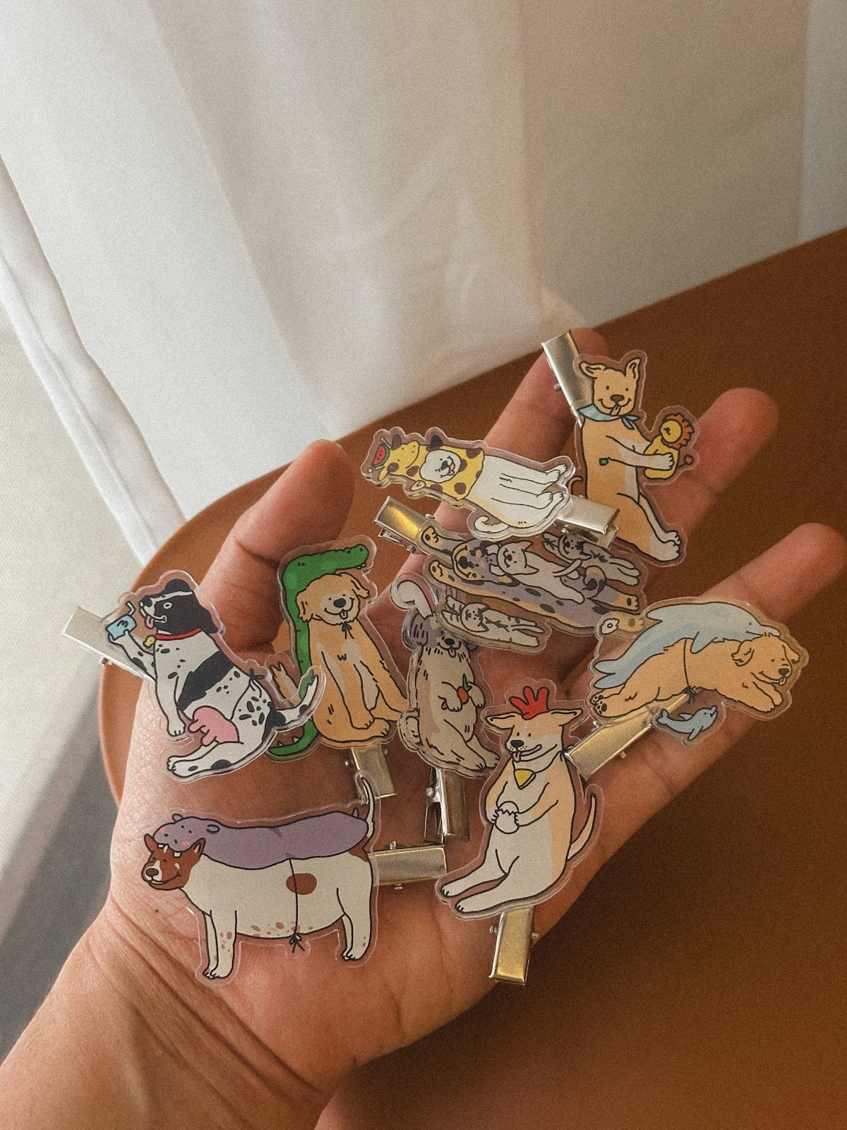 กิ๊บติดผม in animals