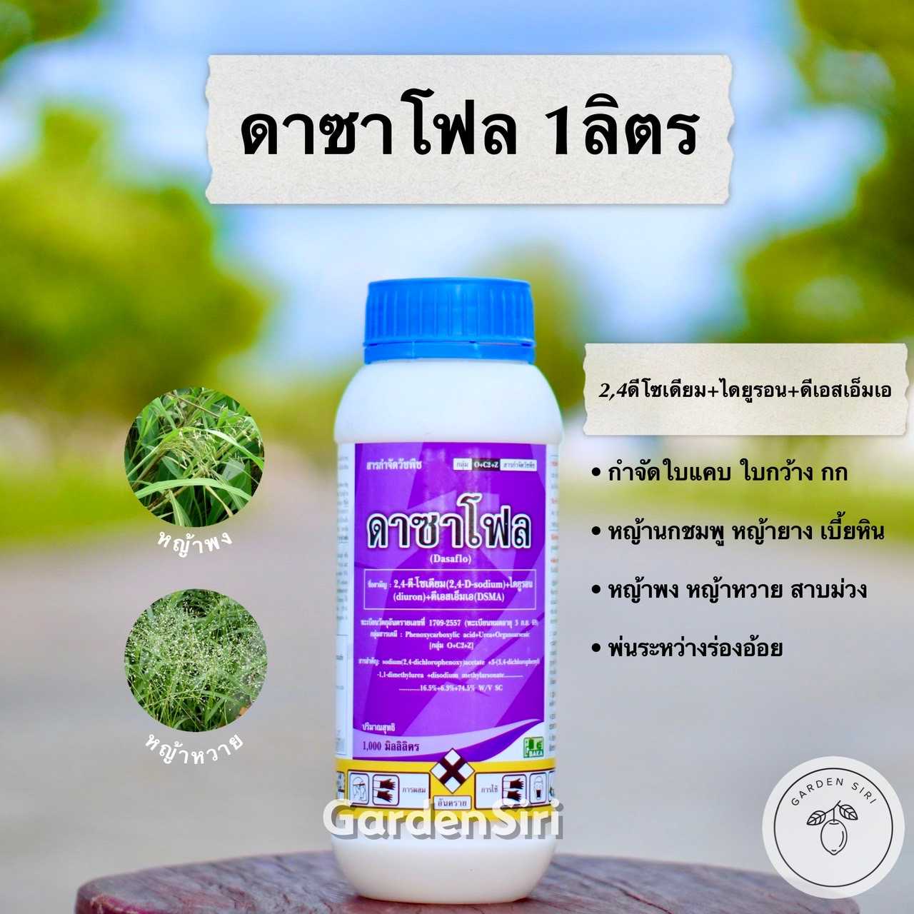 ดาซาโฟล 1ลิตร (24ดีโซเดียม ไดยูรอน ดีเอสเอ็มเอ) สารคุมหญ้า สารกำจัดหญ้าใบแคบใบกว้างในไร่อ้อย