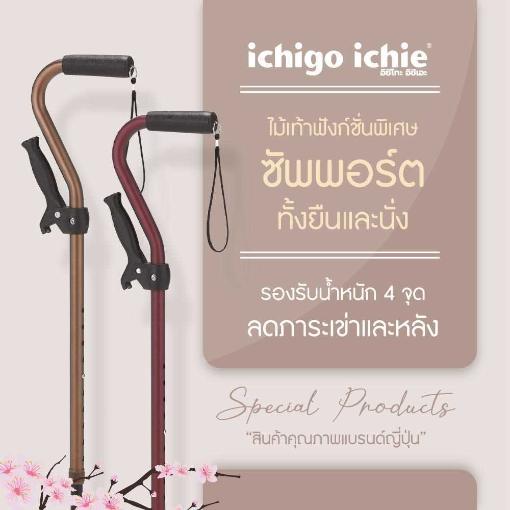 ไม้เท้า 4 ขา เสริมด้ามจับ ซัพพอร์ตการลุก-นั่ง Walking Stick รุ่น AQS