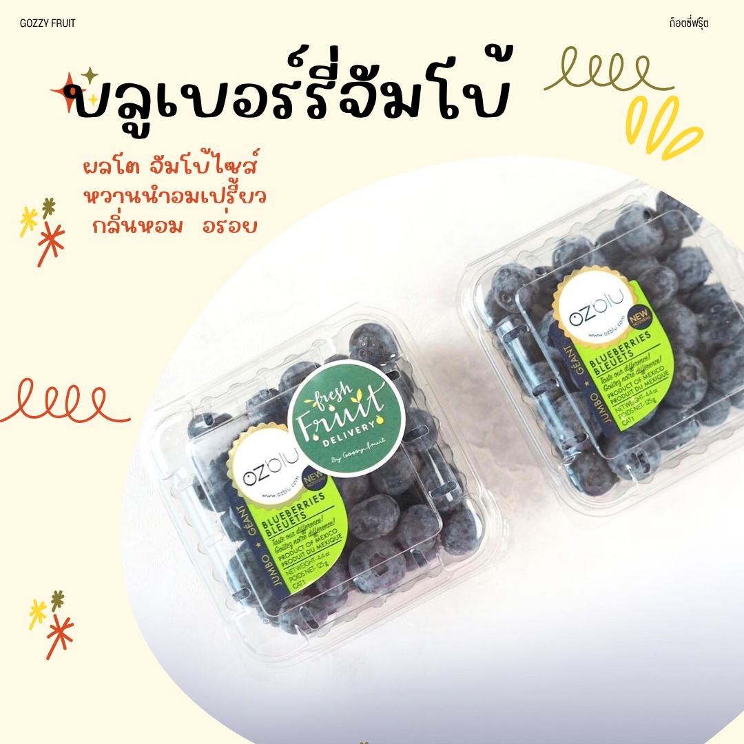 บลูเบอร์รี่ Ozblu ยอดนิยม