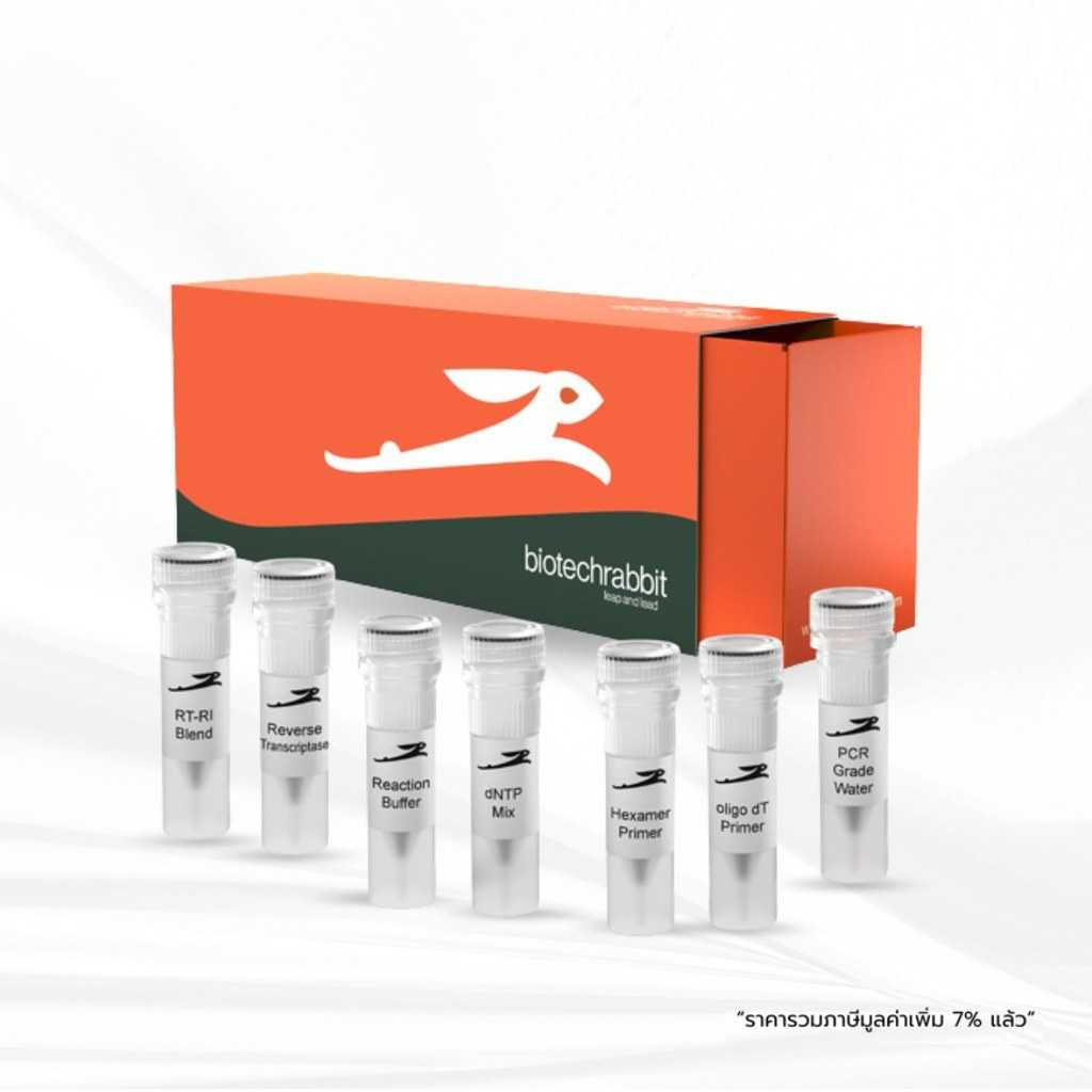 biotechrabbit cDNA Synthesis Kit