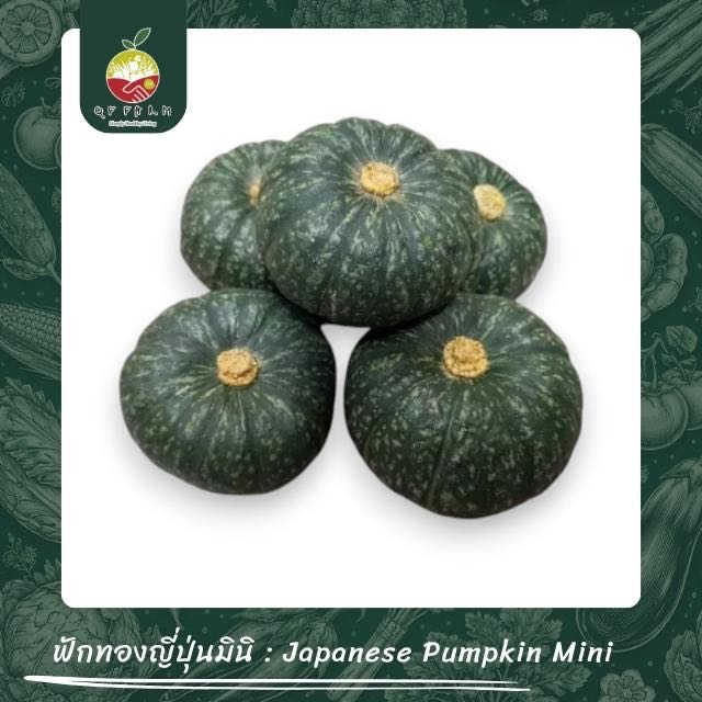 ฟักทองญี่ปุ่น (1 ลูก) Japanese Pumpkin (1 pc)