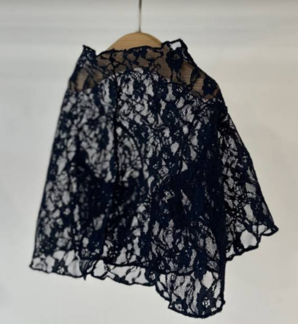 Avely (SM) Navy Lace Blouse
