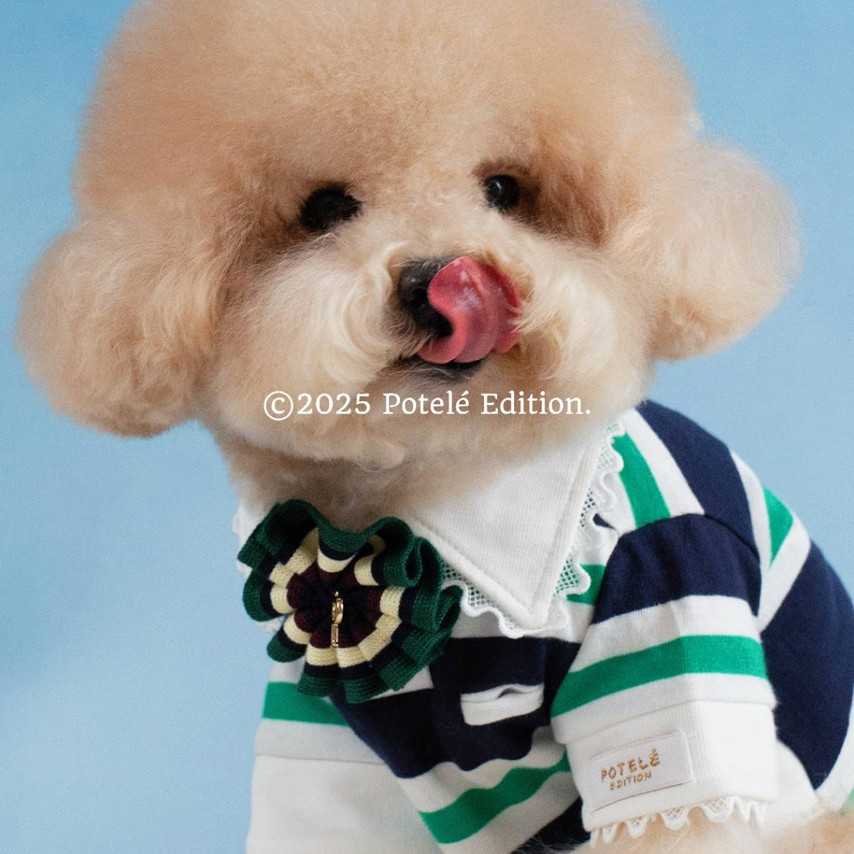 (M)Playdate Polo Green Shirt