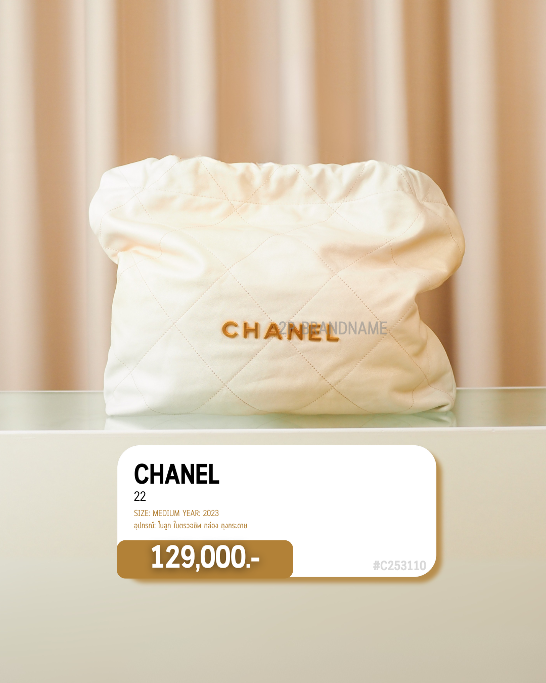Chanel  22 (  #C253110)
