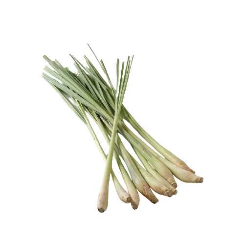 FG12012 ตะไคร้ Lemon Grass ( 300g )