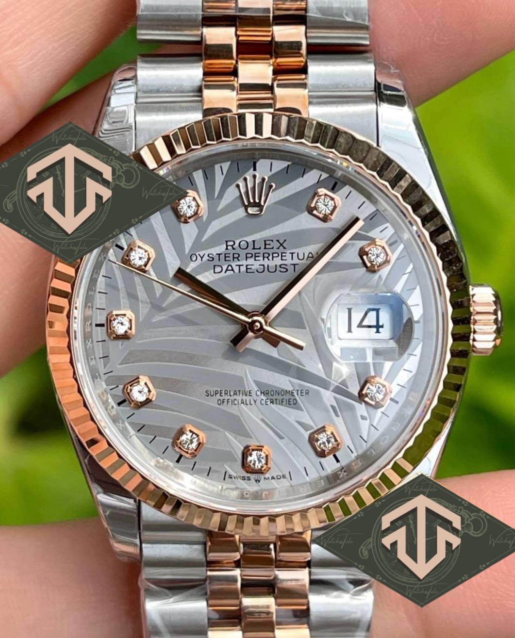 Rolex Datejust Champagne Palm Motif Diamond Dial Ref.126233 EW