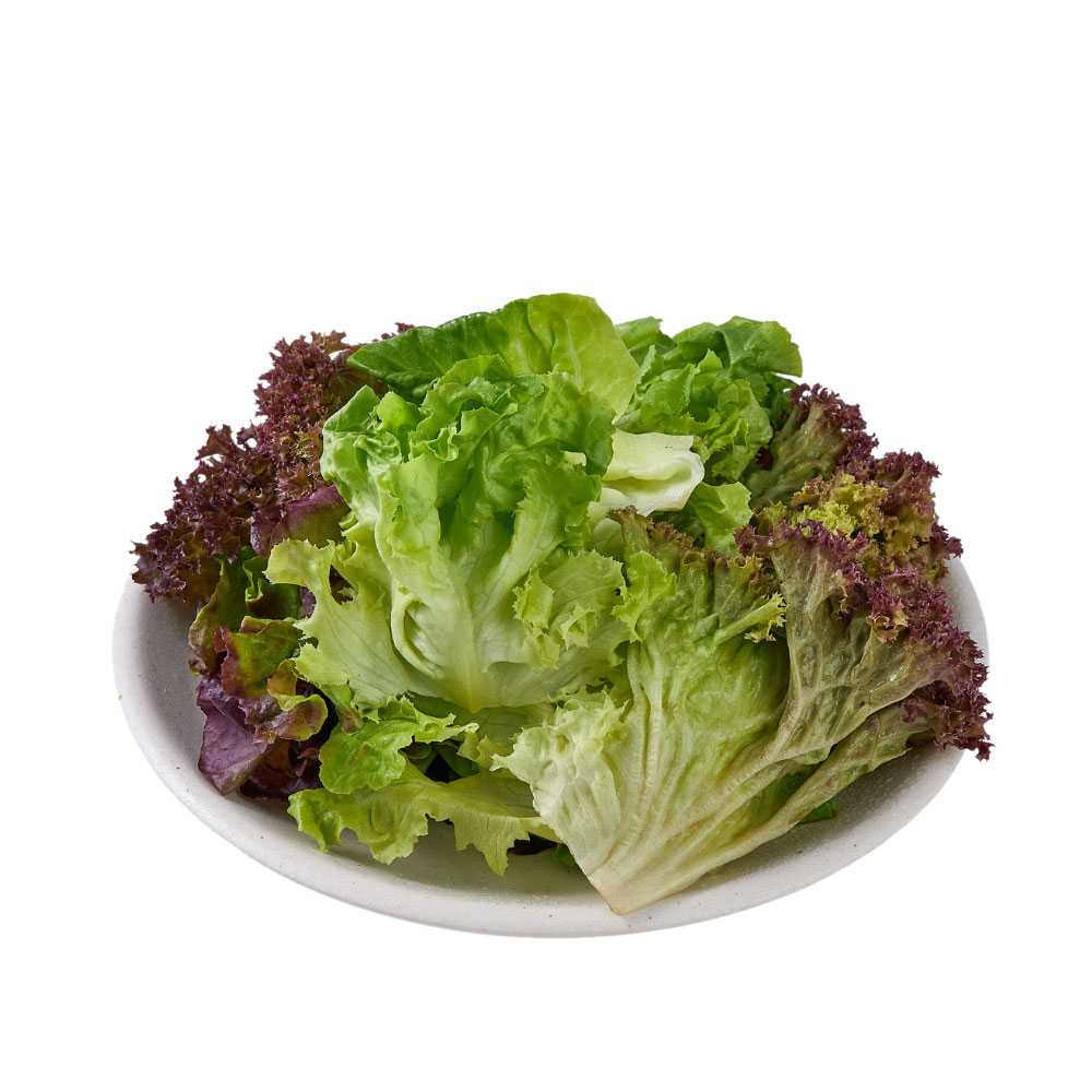 FG01037 ผักสลัดรวมตัดแต่ง Classic Salad Mixed ( 150g )