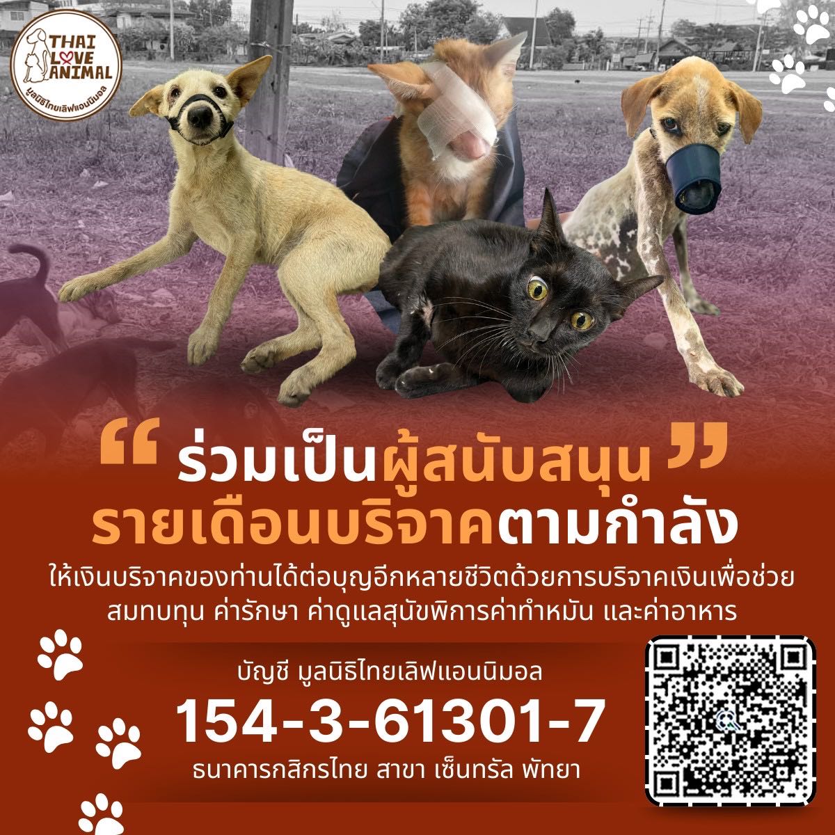 ร่วมเป็นผู้สนับสนุนรายเดือนบริจาค ตามกำลัง