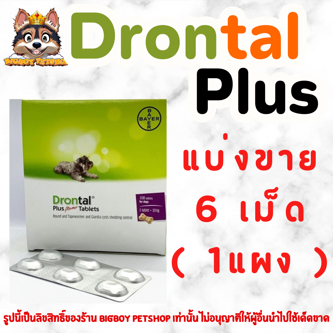 แบ่ง 1 แผง (6เม็ด) Drontal Dog Plus Bayer