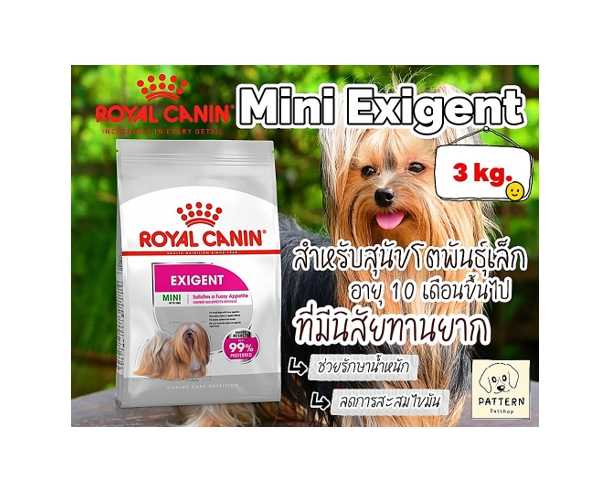 Royal Canin Mini Exigent สำหรับสุนัขโตสายพันธุ์เล็กอายุ 10 เดือนขึ้นไปที่มีนิสัยเลือกทาน(ขนาด 3 kg.)