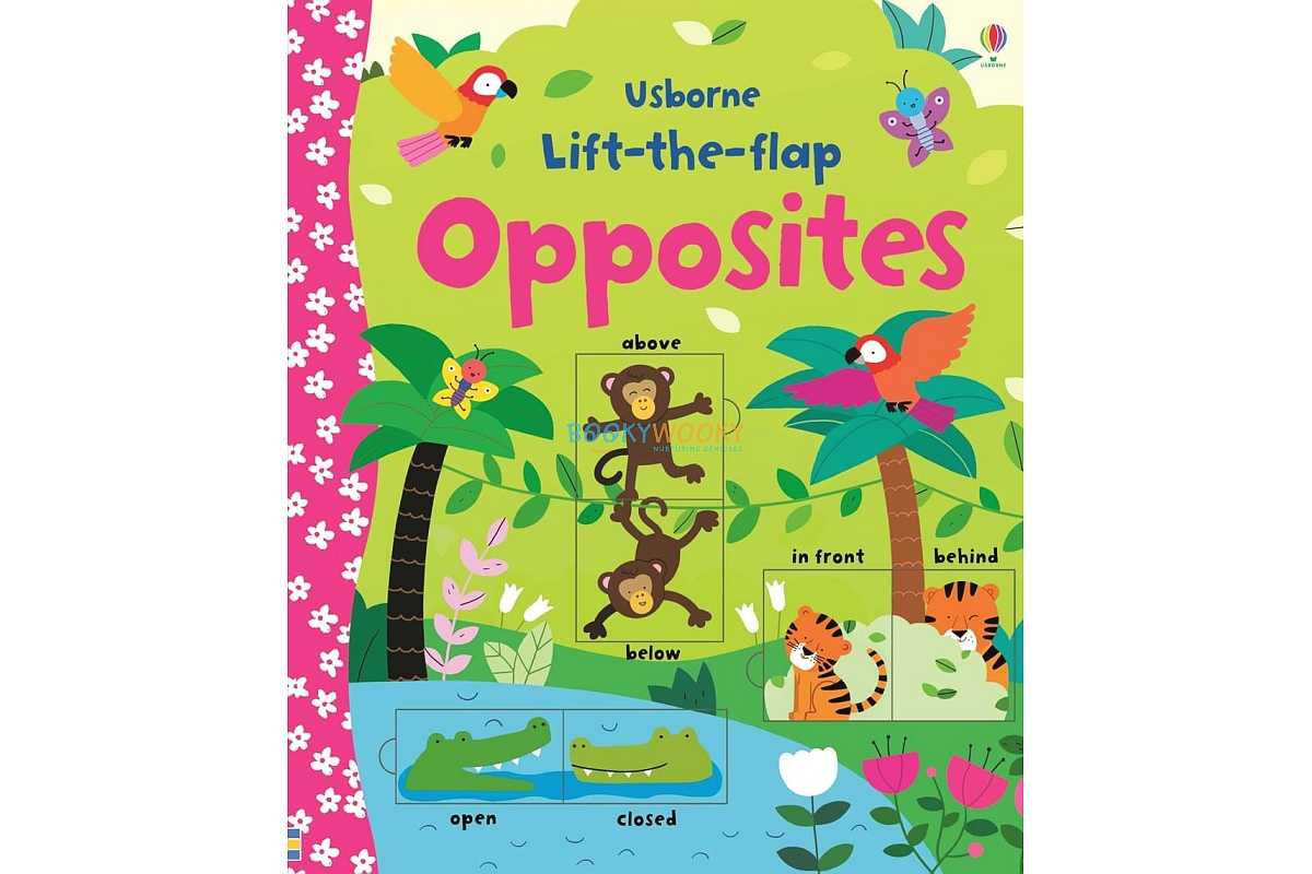 หนังสือสอนคำศัพท์ตรงข้าม Lift the flap Opposites