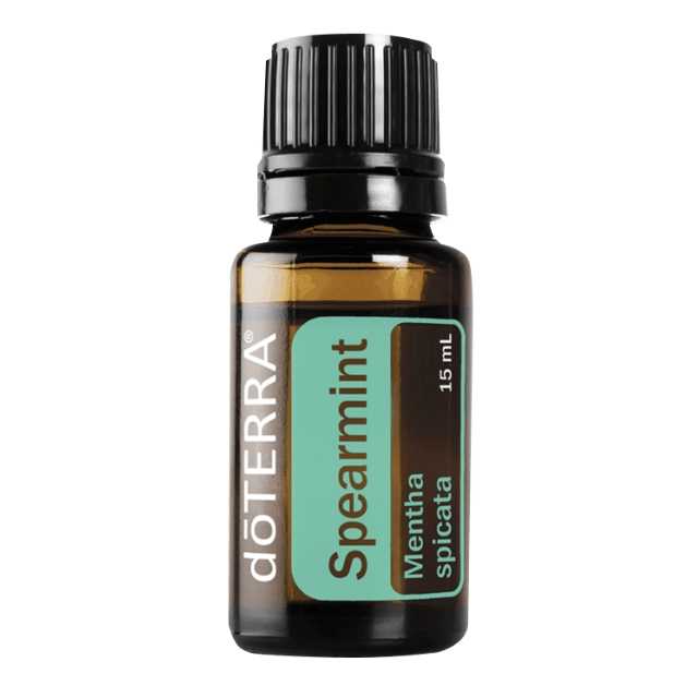 Spearmint - สเปียร์มินต์ - 33 PV
