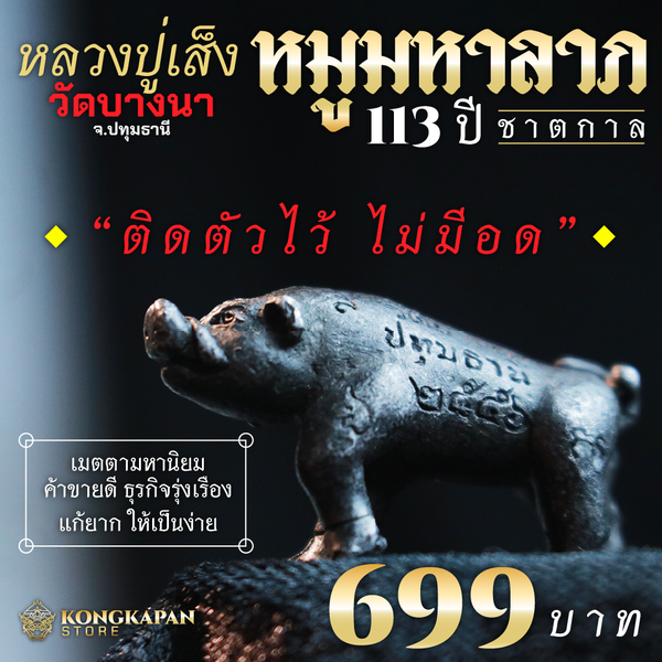หมูมหาลาภ รุ่นย้อนยุค 113 ปีชาติกาล หลวงปู่เส็ง จันทรังสี วัดบางนา ปี 2556