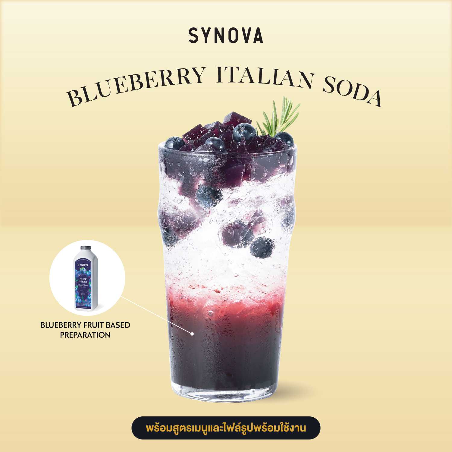 เซ็ตเครื่องดื่ม SYNOVA : เมนูบลูเบอร์รี่อิตาเลียนโซดา พร้อมภาพ และสูตรชงเครื่องดื่ม (เซ็ต)