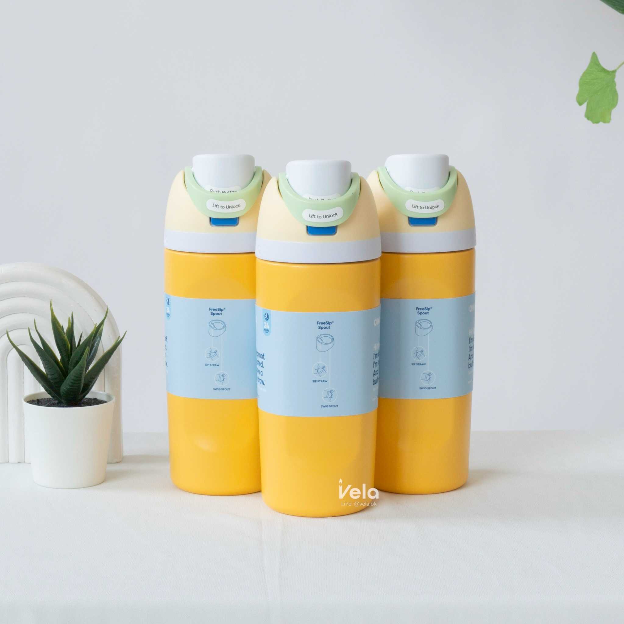 Owala FreeSip 16 oz (Treasure Hunt)