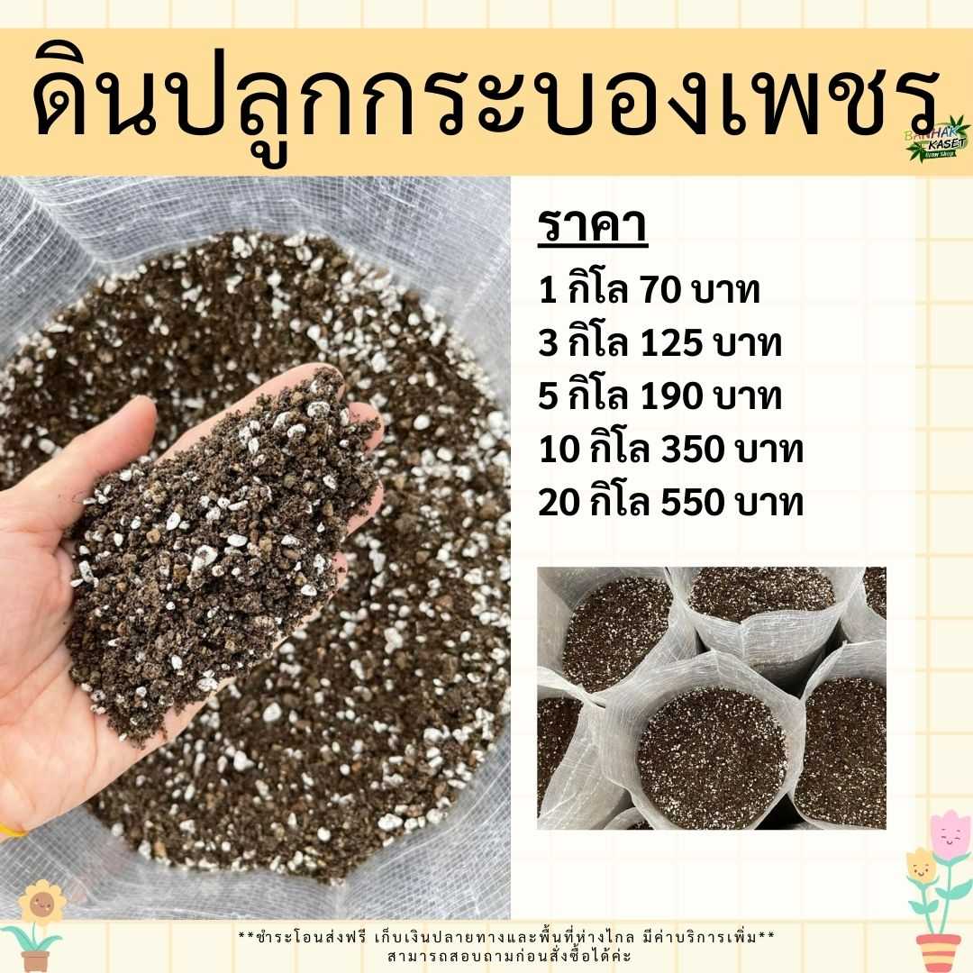 ดินปลูกกระบองเพชร (ส่งฟรี)