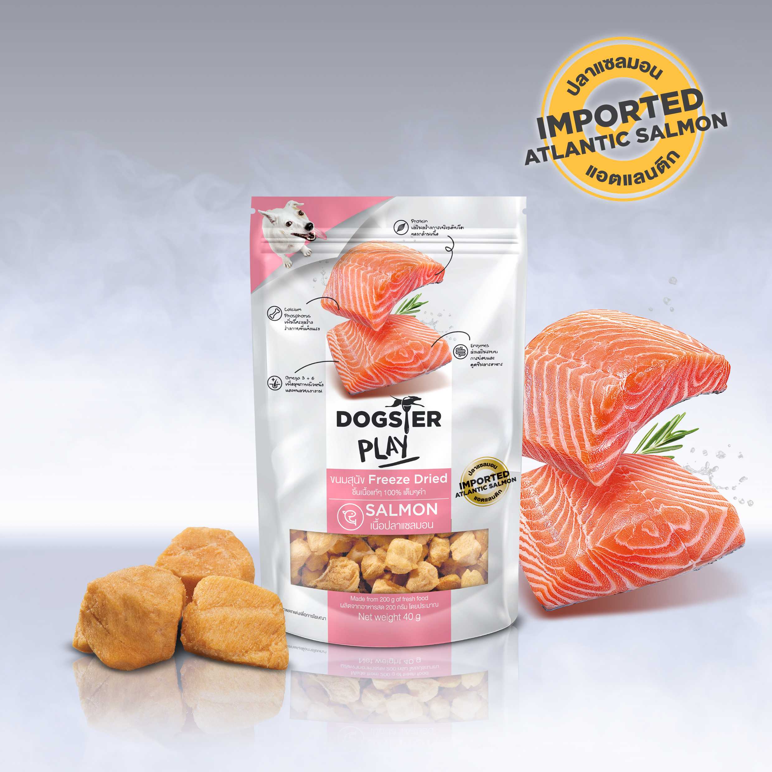 Dogster Play Salmon formula