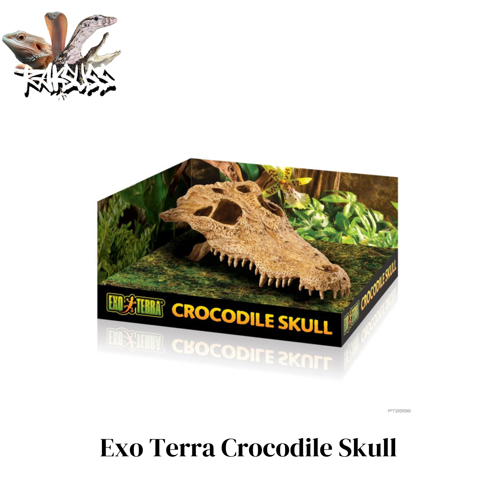 Exo Terra Crocodile Skull