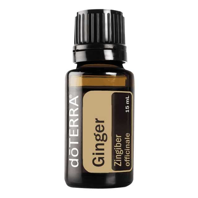 Ginger - จินเจอร์ - 61 PV