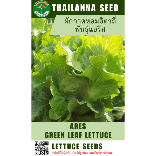 ผักกาดหอมอิตาลี่ พันธุ์แอรีส ( ขนาด 10 กรัม ) รหัสสินค้า 1033