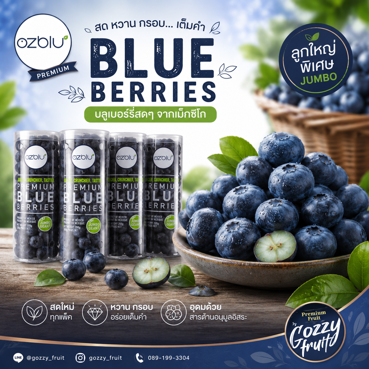 บลูเบอร์รี่ Ozblu ไจแอ้นท์ จัมโบ้
