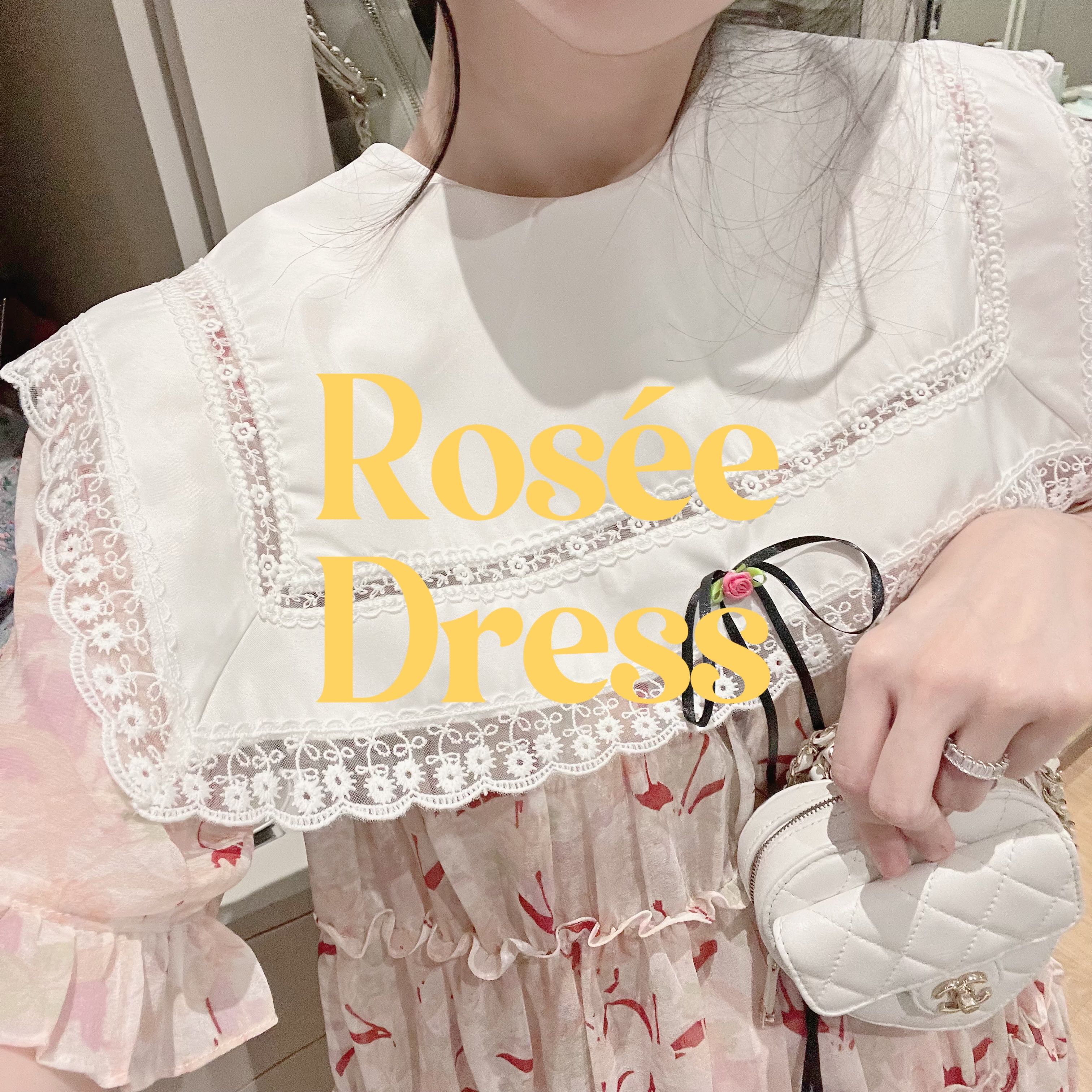 Rosée chiffon dress 