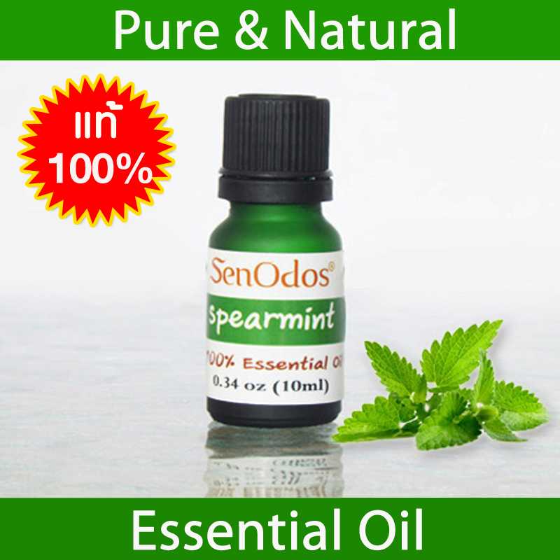 น้ำมันหอมระเหยแท้ 100%  กลิ่นสเปียร์มินท์ Spearmint 100% Pure Essential Oil  10 ml.
