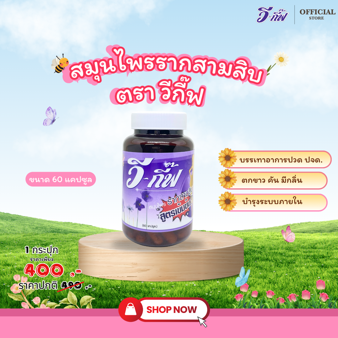 วี-กี๊ฟ สมุนไพรรากสามสิบ (ชนิดแคปซูล)