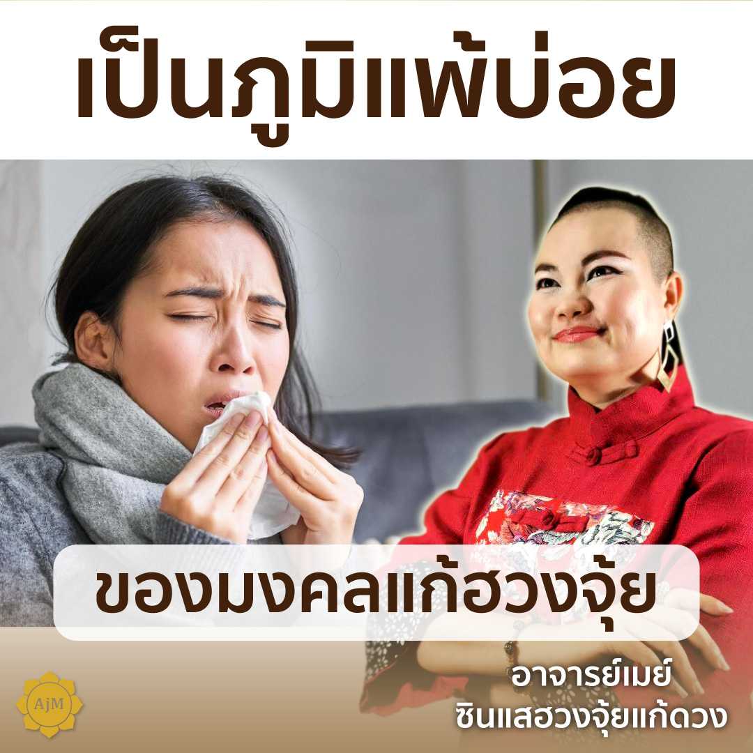Ajanmay โมบายฮวงจุ้ย ของมงคล เสริมดวง สำหรับบ้านพบปัญหาโรคภูมิแพ้ (นกคุ้ม)