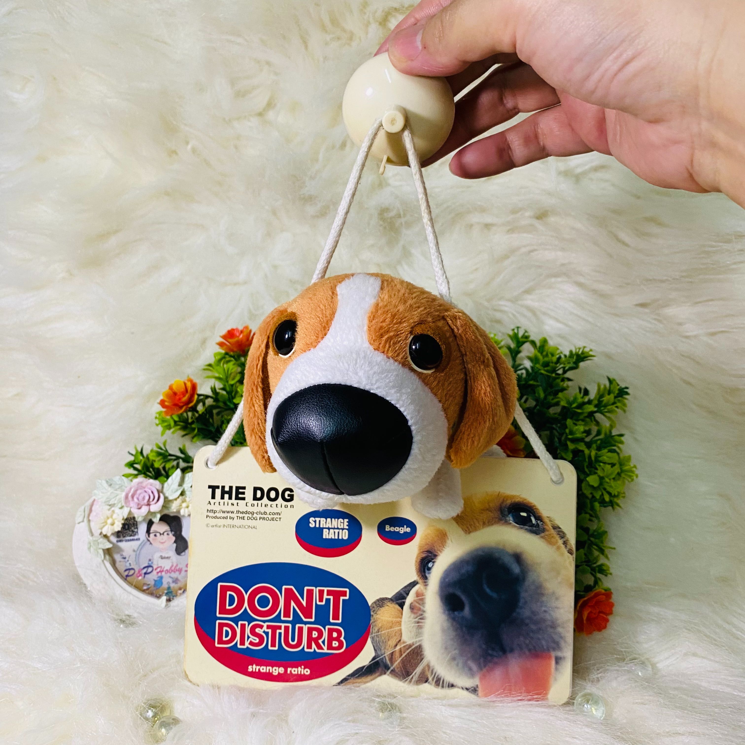 The Dog