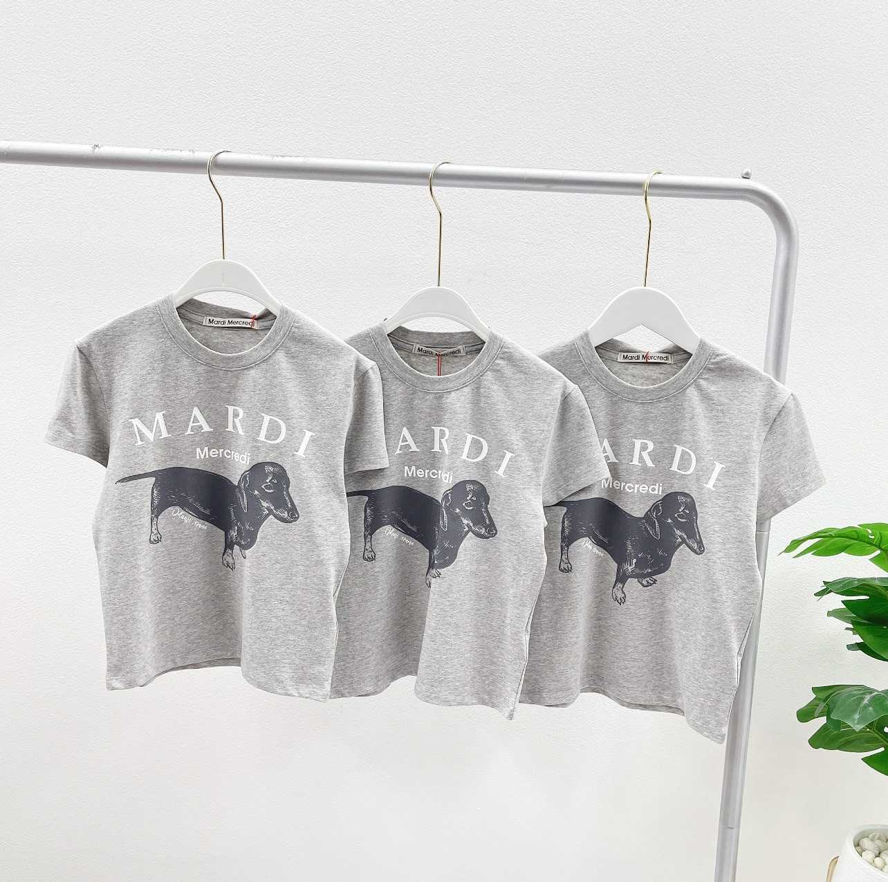 Mardi Ddanji Cropped T-Shirt (ฺGrey White)