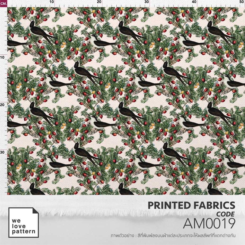 รหัสลาย : AM0019