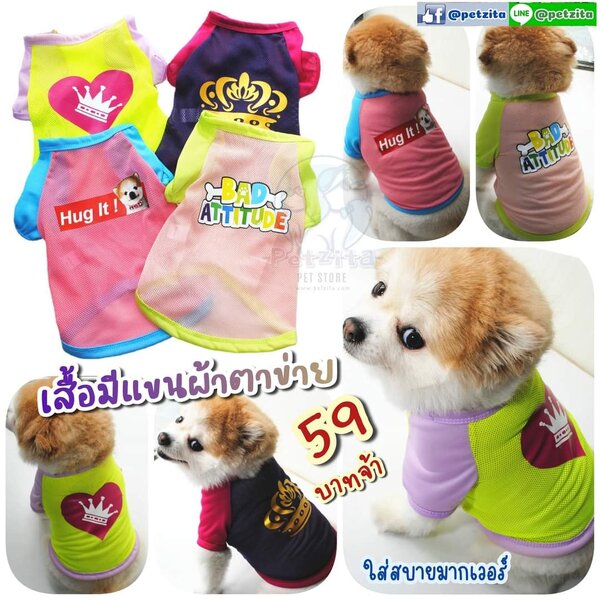 🇹🇭พร้อมส่ง🇹🇭 🔥SALE🔥เสื้อมีแขนผ้าตาข่าย ใส่สบายมากเวอร์ สีสันสดใส น่ารักสุดๆ for pet เสื้อสุ...