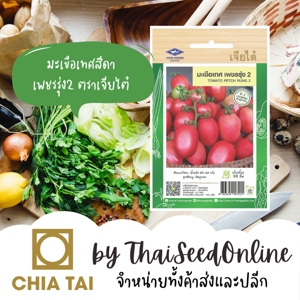 CTF1 เมล็ดพันธุ์ซองเล็ก มะเขือเทศเพชรรุ่ง2 150 เมล็ด ตราเจียไต๋ มะเขือสีดา มะเขือเทศสีดา Tomato