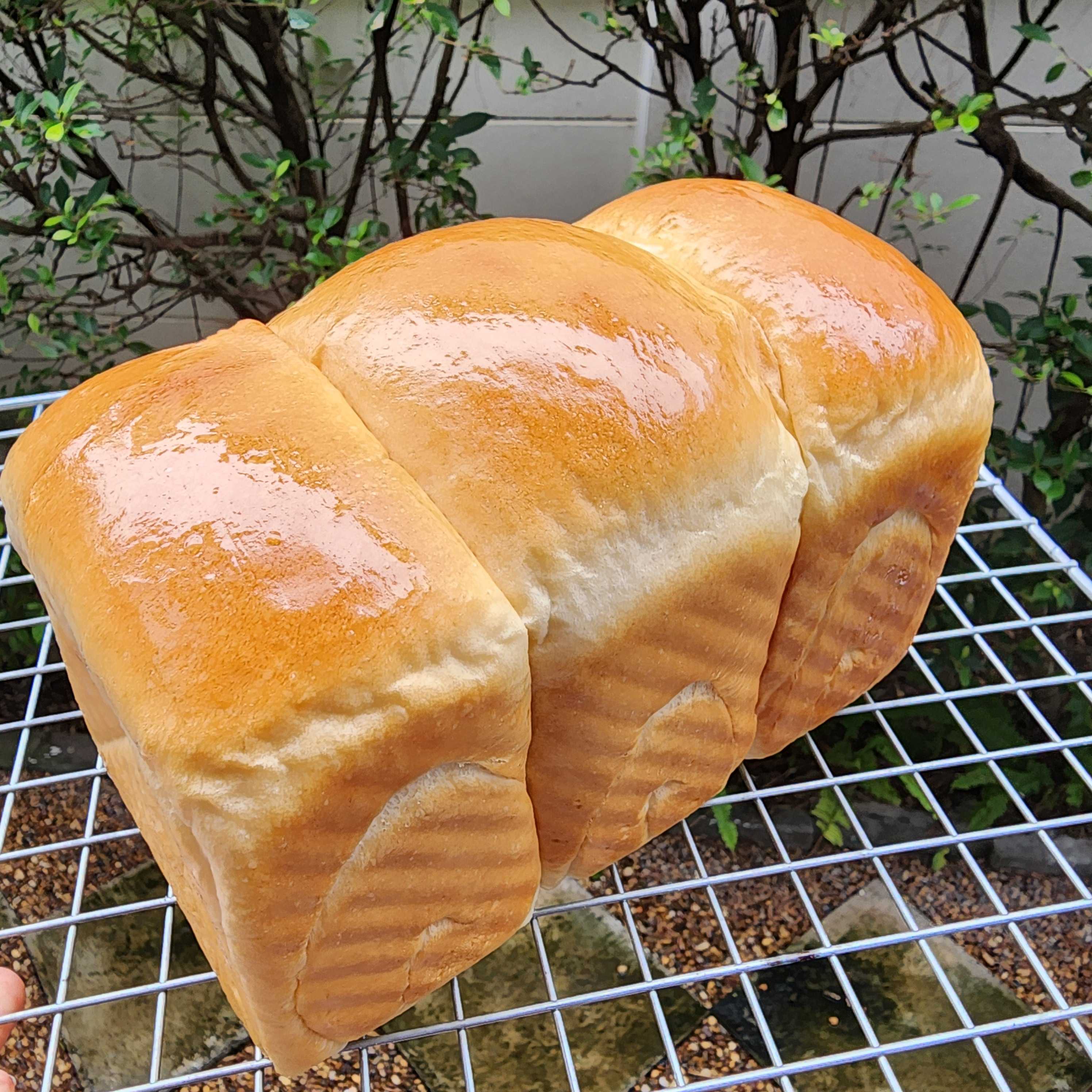 Original Milk Bread